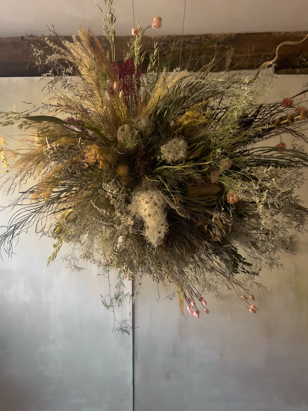 Wild Protea Dried Flower Cloud