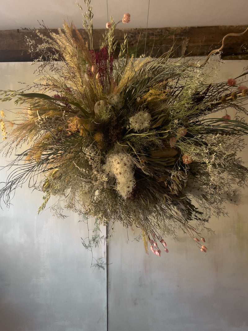 Wild Protea Dried Flower Cloud