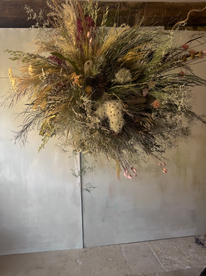 Wild Protea Dried Flower Cloud