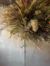 Wild Protea Dried Flower Cloud