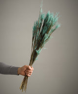 Dried Pluminha Turquoise