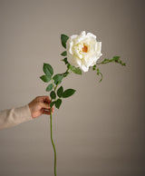 Faux White Rose - Bunch of 3 Stems